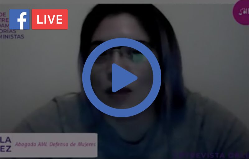 FL: [Entrevista Online] El Principio de Igualdad entre los Padres. Fundamentos desde las Teorías Jurídicas Feministas.