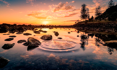 [CERRADO ] CURSO INTERNACIONAL EN JUSTICIA AMBIENTAL