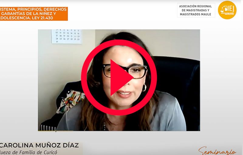 Seminario: Sistema, principios, derechos y garantías de la niñez y adolescencia. Ley 21.430