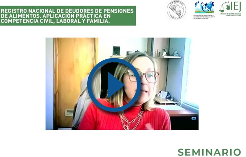 SEMINARIO REGISTRO NACIONAL DE DEUDORES DE PENSIONES DE ALIMENTOS. APLICACIÓN PRÁCTICA EN COMPETENCIA CIVIL, LABORAL Y FAMILIA